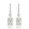 D Color Diamond Crystalline Tassel Earring Super Luxury  Best Jewelry Gift For Her